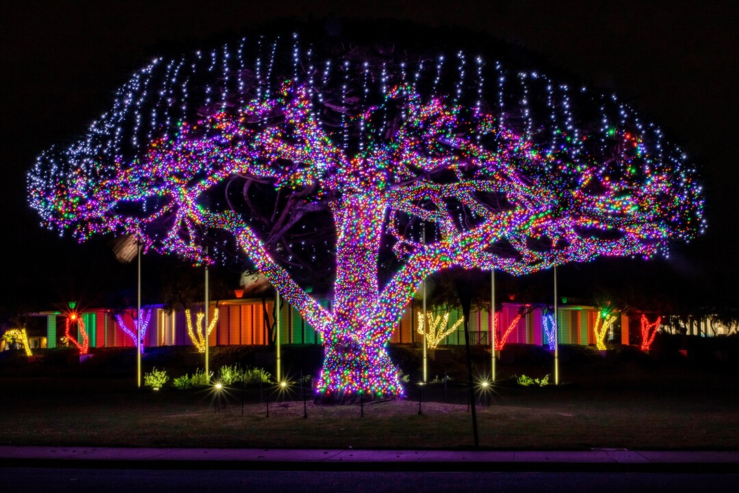 illuminations de noël au Québec combien ça coute